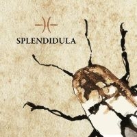 Splendidula - Splendidula in the group OUR PICKS / Friday Releases / Friday The 8th Of Mars 2024 at Bengans Skivbutik AB (5513786)