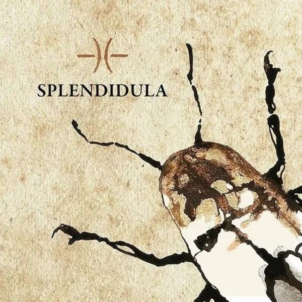 Splendidula - Splendidula in the group CD / Hårdrock at Bengans Skivbutik AB (5513786)