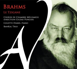 Choeur De Chambre Melismes - Brahms: Le Tzigane in the group OUR PICKS / Friday Releases / Friday 19th Jan 24 at Bengans Skivbutik AB (5513817)