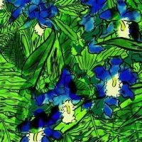 Higgins Waterproof Black Magic Band - Higgins Waterproof Black Magic Band in the group VINYL / Pop-Rock at Bengans Skivbutik AB (5513865)