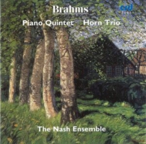 Brahms Johannes - Piano Quintet In F Minor Op.34 / Ho in the group MUSIK / CD-R / Klassiskt at Bengans Skivbutik AB (5514254)