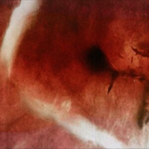 Angles & Elle-Kari With Strings - The Death Of Kalypso in the group OTHER / Forthcoming products - 10 percent at Bengans Skivbutik AB (5514470)