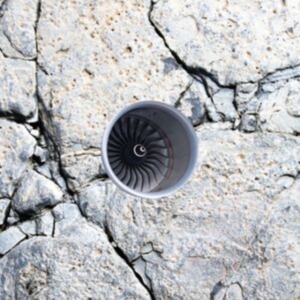 Babyxxan - In- Tran - Situ in the group OTHER / Övrigt /  at Bengans Skivbutik AB (5514587)