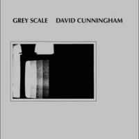 Cunningham David - Grey Scale in the group VINYL / Pop-Rock at Bengans Skivbutik AB (5514792)