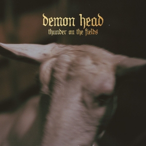 Demon Head - Thunder On The Fields Lp Gold in the group OUR PICKS / Startsida Vinylkampanj at Bengans Skivbutik AB (5515229)