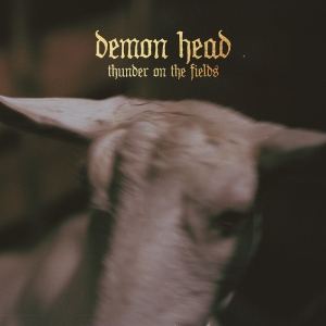 Demon Head - Thunder On The Fields Lp Silver in the group VINYL / Pop-Rock at Bengans Skivbutik AB (5515230)