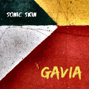 Sonic Skin - Gavia in the group OUR PICKS / Frontpage - CD New & Forthcoming at Bengans Skivbutik AB (5515311)