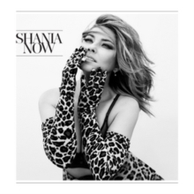 Shania Twain - Now in the group CD / Country at Bengans Skivbutik AB (5515388)