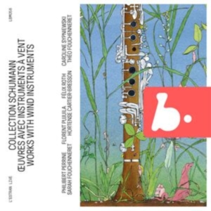 Schumann Robert - Schumann Collection - Works With Wi in the group CD / Klassiskt at Bengans Skivbutik AB (5515720)