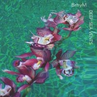 Brhym - Deep Sea Vents in the group OUR PICKS / Friday Releases / Friday the 1st of Mars 2024 at Bengans Skivbutik AB (5515789)