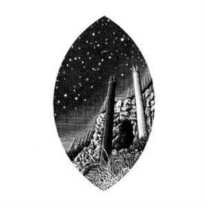 Iterum Nata - The Course Of Empire in the group CD / Svensk Folkmusik at Bengans Skivbutik AB (5516188)