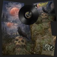 Sentry - Sentry (Vinyl Lp) in the group OUR PICKS / Friday Releases / Friday the 1st of Mars 2024 at Bengans Skivbutik AB (5516387)