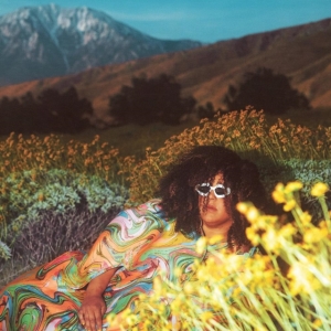 Brittany Howard - What Now in the group OUR PICKS / Friday Releases / Friday The 9th February 2024 at Bengans Skivbutik AB (5516666)