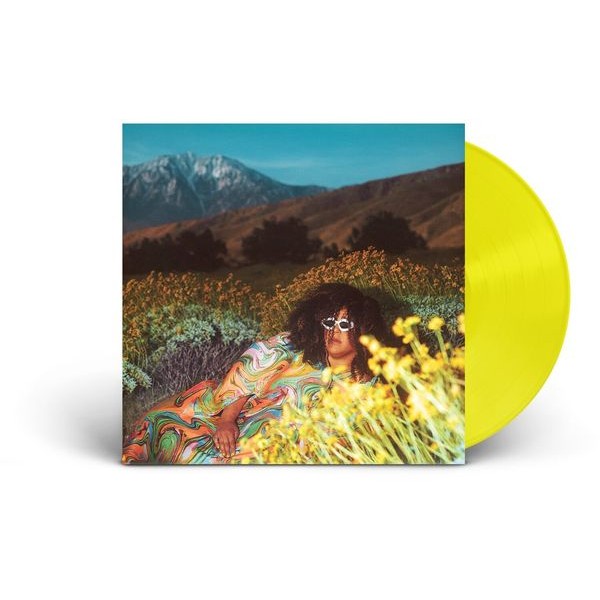 Brittany Howard - What Now in the group VINYL / Pop-Rock at Bengans Skivbutik AB (5516666)
