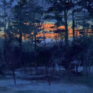 Animal Hospital - Shelf Life in the group OTHER / Övrigt /  at Bengans Skivbutik AB (5516997)