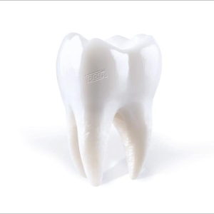 Porij - Teething in the group OTHER / Forthcoming products - 10 percent at Bengans Skivbutik AB (5517473)