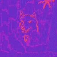 Dehd - Poetry in the group VINYL / Pop-Rock at Bengans Skivbutik AB (5518018)