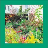 Reds Pinks And Purples The - Unwishing Well in the group OTHER / Forthcoming products - 10 percent at Bengans Skivbutik AB (5518252)