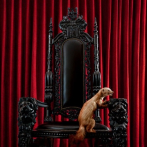 Brume - Marten (Red Vinyl Lp) in the group OTHER / Forthcoming products - 10 percent at Bengans Skivbutik AB (5519026)