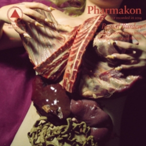 Pharmakon - Bestial Burden in the group OTHER / Startsida Vinylkampanj at Bengans Skivbutik AB (5519095)