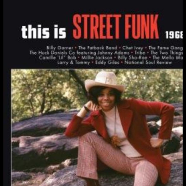 Various Artists - This Is Street Funk 1968-1974 in the group VINYL / Bestsellers at Bengans Skivbutik AB (5520591)