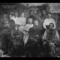 Pineapple Thief The - Abducted At Birth in the group OTHER / Forthcoming products - 10 percent at Bengans Skivbutik AB (5521147)