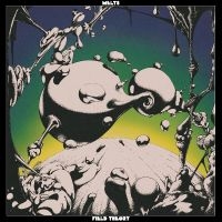 Melts - Field Theory in the group CD / Pop-Rock at Bengans Skivbutik AB (5521492)