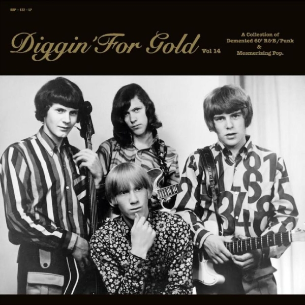 Various Artists - Diggin' For Gold Vol. 14 in the group VINYL / Bestsellers at Bengans Skivbutik AB (5522114)