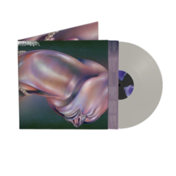 Walt Disco - The Warping (Milky Clear Transparen in the group OUR PICKS / Friday Releases / Friday the 14th of June 2024 at Bengans Skivbutik AB (5522190)