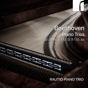 Ludwig Van Beethoven - Piano Trios, Op. 1 No. 3, Op. 11 & in the group CD / Upcoming releases / Classical at Bengans Skivbutik AB (5522423)