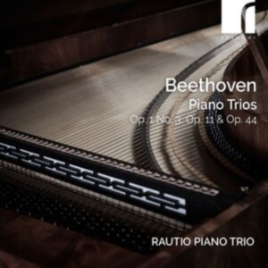 Ludwig Van Beethoven - Piano Trios, Op. 1 No. 3, Op. 11 & in the group CD / Klassiskt at Bengans Skivbutik AB (5522423)