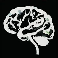 Ruins - Brain Flakes in the group VINYL / Pop-Rock at Bengans Skivbutik AB (5522462)