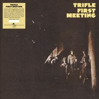 Trifle - First Meeting in the group OUR PICKS / Friday Releases / Friday the 12th of april 2024 at Bengans Skivbutik AB (5522479)