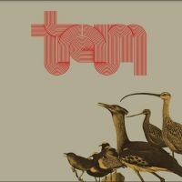 Traum - Traum in the group OUR PICKS / Frontpage - Vinyl New & Forthcoming at Bengans Skivbutik AB (5522492)