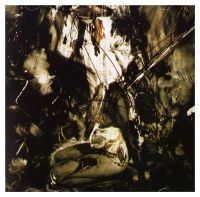 Fields Of The Nephilim - Elizium (Brick Red Vinyl) in the group VINYL / Pop-Rock at Bengans Skivbutik AB (5522805)