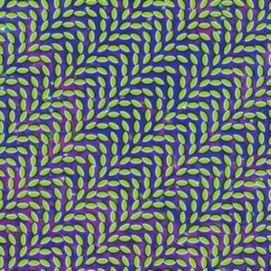 Animal Collective - Merriweather Post Pavillion in the group OUR PICKS / Friday Releases / Friday the 28th of June 2024 at Bengans Skivbutik AB (5522808)