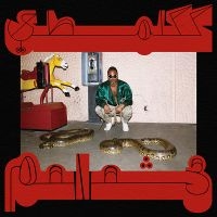 Shabazz Palaces - Robed In Rareness in the group CD / Hip Hop-Rap at Bengans Skivbutik AB (5522811)