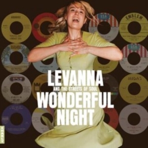 V/A - Wonderful Night Curated By Levanna in the group VINYL / Pop-Rock,RnB-Soul at Bengans Skivbutik AB (5523370)