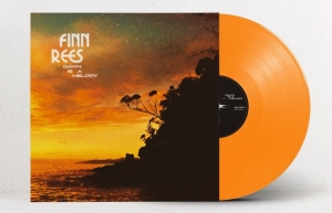 Finn Rees - Dawn Is A Melody in the group OTHER / Övrigt /  at Bengans Skivbutik AB (5523532)
