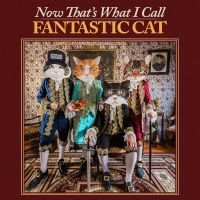 Fantastic Cat - Now That's What I Call Fantastic Ca in the group VINYL / Upcoming releases / Pop-Rock at Bengans Skivbutik AB (5524073)