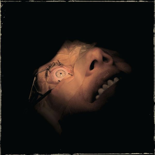 Exhumed - Anatomy Is Destiny in the group VINYL / Hårdrock at Bengans Skivbutik AB (5525859)