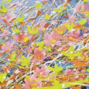 H To O - Cycle in the group VINYL / Pop-Rock at Bengans Skivbutik AB (5525984)