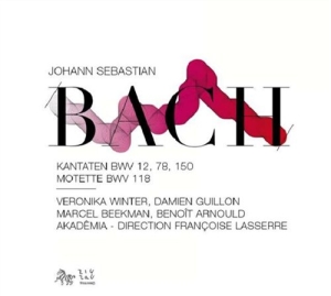 Bach - Cantatas in the group Externt_Lager /  at Bengans Skivbutik AB (552744)