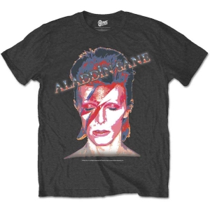 David Bowie - Aladdin Sane Uni Char    in the group MERCH / T-Shirt /  at Bengans Skivbutik AB (5530240r)