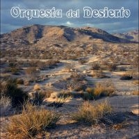 Orquesta Del Desierto - Orquesta Del Desierto in the group VINYL / Upcoming releases / Pop-Rock at Bengans Skivbutik AB (5535797)