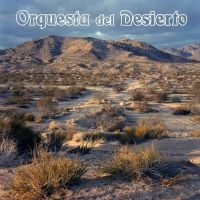 Orquesta Del Desierto - Orquesta Del Desierto in the group CD / Upcoming releases / Pop-Rock at Bengans Skivbutik AB (5535814)