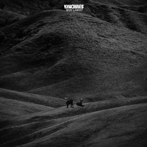 Nxworries - Why Lawd? in the group OUR PICKS / Friday Releases / Friday the 7th June 2024 at Bengans Skivbutik AB (5535964)