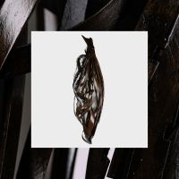 Into It. Over It. - Interesting Decisions in the group VINYL / Pop-Rock at Bengans Skivbutik AB (5536011)