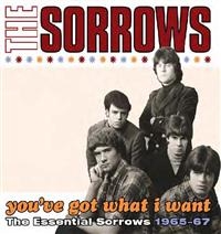 Sorrows - You've Got What I Want in the group CD / Pop-Rock at Bengans Skivbutik AB (553716)