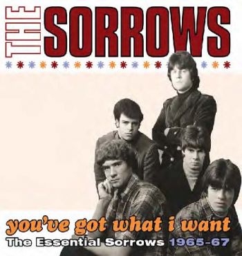 Sorrows - You've Got What I Want in the group CD / Bestsellers at Bengans Skivbutik AB (553716)